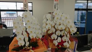 移転開業18