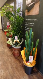移転開業5