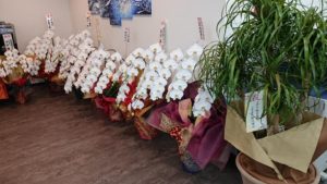 移転開業15