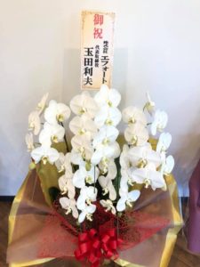 サンケイ5